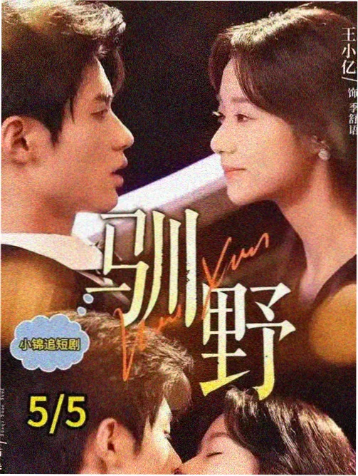 午夜影院静默长镜头观察专题封面